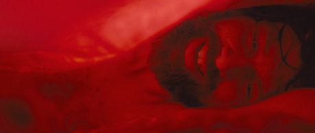 Johan Heldenbergh in The Broken Circle Breakdown (2012)