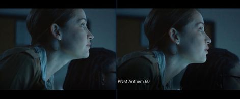 PNM Anthem 60