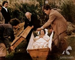 Tadeusz Chudecki, Anna Dymna, and Konstanty Szyrko in Valley of the Issa (1982)