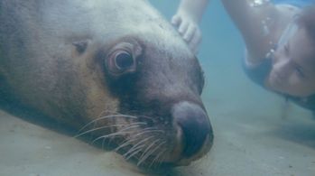 Bindi Irwin in Return to Nim's Island (2013)
