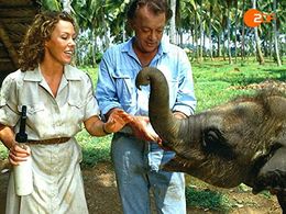 Gaby Dohm and Klausjürgen Wussow in The Black Forest Hospital (1985)