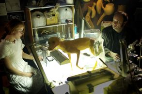 Atle Antonsen and Kaia Varjord in Dag (2010)