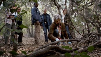 Jamie Hector, Alan Rosenberg, Titus Welliver, and Annie Wersching in Bosch: Chapter One: 'Tis the Season (2014)