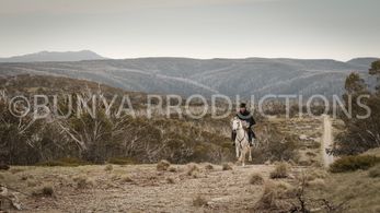 The Drovers Wife- Sean Lynch