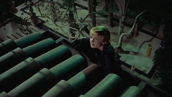 Brigitte Auber in To Catch a Thief (1955)