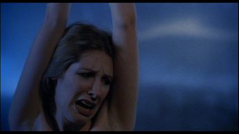 Johanna Brushay in Don't Go in the House (1979)