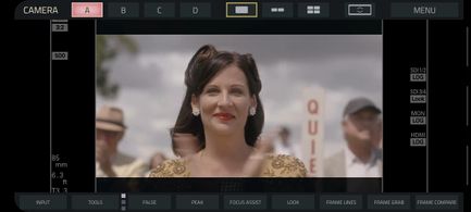 As Fay Dixon in Playing Through