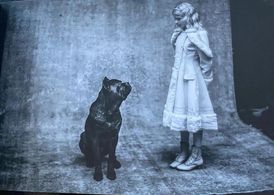 Stella Grace Fitzgerald