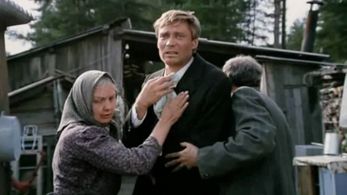 Aleksandr Mikhaylov and Natalya Tenyakova in Love and Doves (1985)