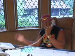 Hulk Hogan in Hogan Knows Best (2005)
