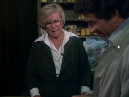 Bill Bixby and Roberta Sherwood in The Incredible Hulk (1977)