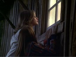 Pamela Sue Martin and Jean Rasey in The Hardy Boys/Nancy Drew Mysteries (1977)