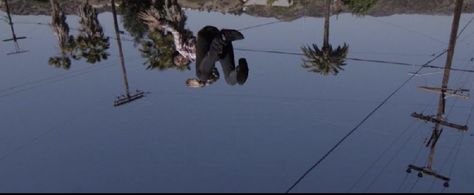 Still of Danny Minnick and The Postal Service in The Postal Service : A Tattered Line Of String