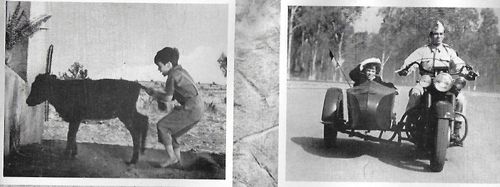 Michel Ray in The Brave One (1956)