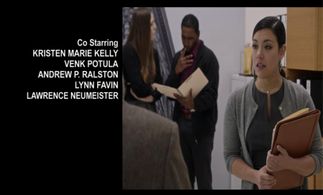 Lynn Favin on Veep (HBO)