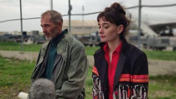 ''Force Migration of Butterflies''