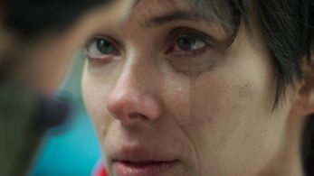 Plea Bargain - Mitch Greenberg