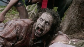 still from the TV show The Glades