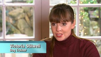 Victoria Stilwell in It's Me or the Dog (2008)