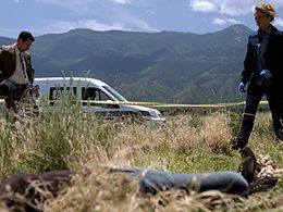Carl Marino in Homicide Hunter (2011)