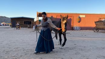 The Outlaws of Mendocino