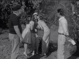 Jim Backus, Bob Denver, Alan Hale Jr., Tina Louise, Russell Johnson, Natalie Schafer, and Dawn Wells in Gilligan's Islan