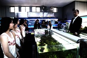 Denden, Mitsuru Fukikoshi, Asuka Kurosawa, Hikari Kajiwara, and Megumi Kagurazaka in Cold Fish (2010)