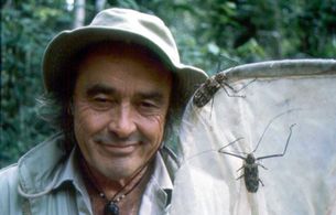 Georges Brossard in Insectia (1999)