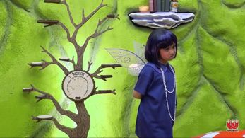 Through The Fairy Door