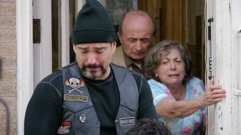 As Mike Petito in Family on Board