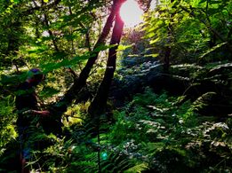 Our DP gets photogenic...