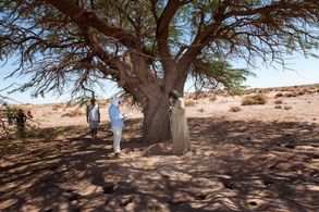 Alexandre Avancini and Celso Frateschi in Joseph from Egypt (2013)