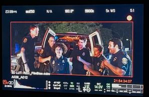 Untitled Pet/Kid Project