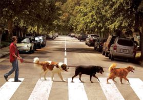 Jake Torem, Dragon, Goliath and Coydog Ted.