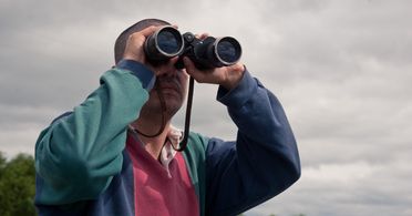 La Odisea de los Giles