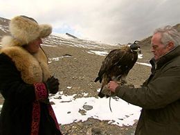 Scott Pelley in 60 Minutes (1968)