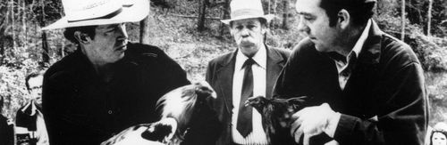 Warren Oates and Charles Willeford in Cockfighter (1974)