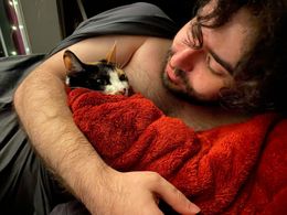 Sundae the swaddled Cat