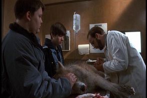Anthony Edwards, Edward Furlong, and Jason McGuire in Pet Sematary II (1992)