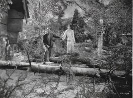 Barbara Greene and Eric Portman in Moonlight Sonata (1937)