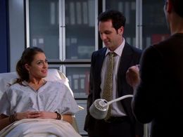 Matthew Rhys and Roxy Olin in Brothers & Sisters (2006)