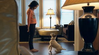 Dennis Haskins, Adam Hicks, Preston Lacy, and Grace Ingersoll in Up on the Wooftop (2015)