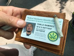 CRISPIN ALAPAG AS PABLO RAMIREZ ON THE RAY DONOVAN SHOW MEDICAL MARIJUANA CARD
