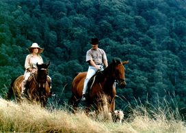 Miro Noga and Milena Steinmasslová in Ranc U Zelené sedmy (1996)