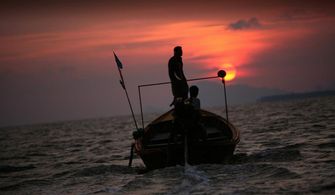 Citizen Pictures - In The Field, On The Water