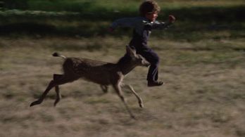 Ham Larsen in The Adventures of the Wilderness Family (1975)