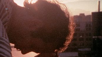 Dore Mann in Frownland (2007)