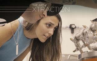 Leafly - Art of Extraction