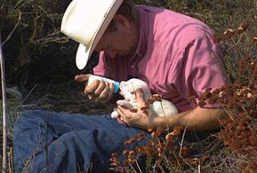 Leo Grillo feeding puppy in wilderness