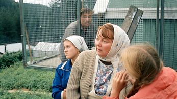Nina Doroshina, Yanina Lisovskaya, Aleksandr Mikhaylov, and Lada Sizonenko in Love and Doves (1985)